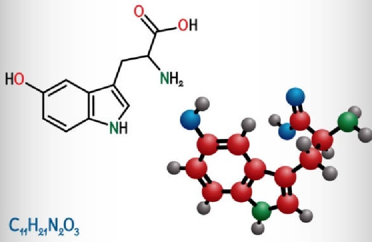 LipoTrine ingredient supporting healthy metabolism
